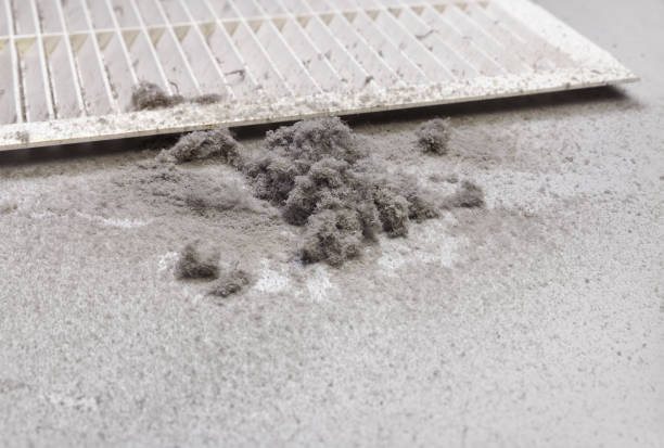 Best Dryer Vent Cleaning Services  in Riverside, MO