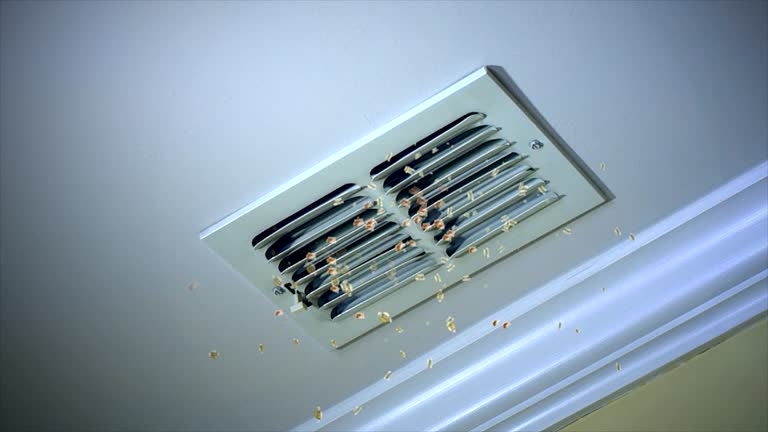 Best Air Duct Cleaning Near Me  in Riverside, MO