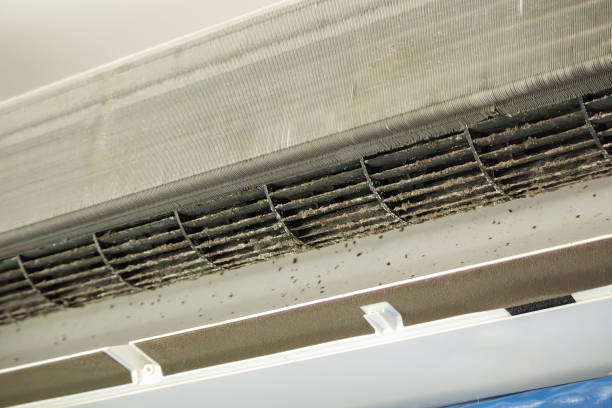 Best Air Vent Cleaning Services  in Riverside, MO